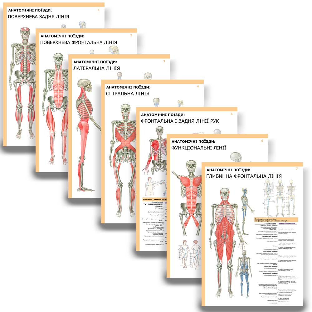Комплект плакатов "Анатомические поезда" (с 7 частей)