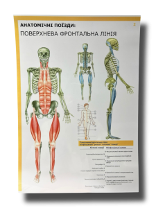 Комплект плакатів "Анатомічні поїзди" (з 7 частин)